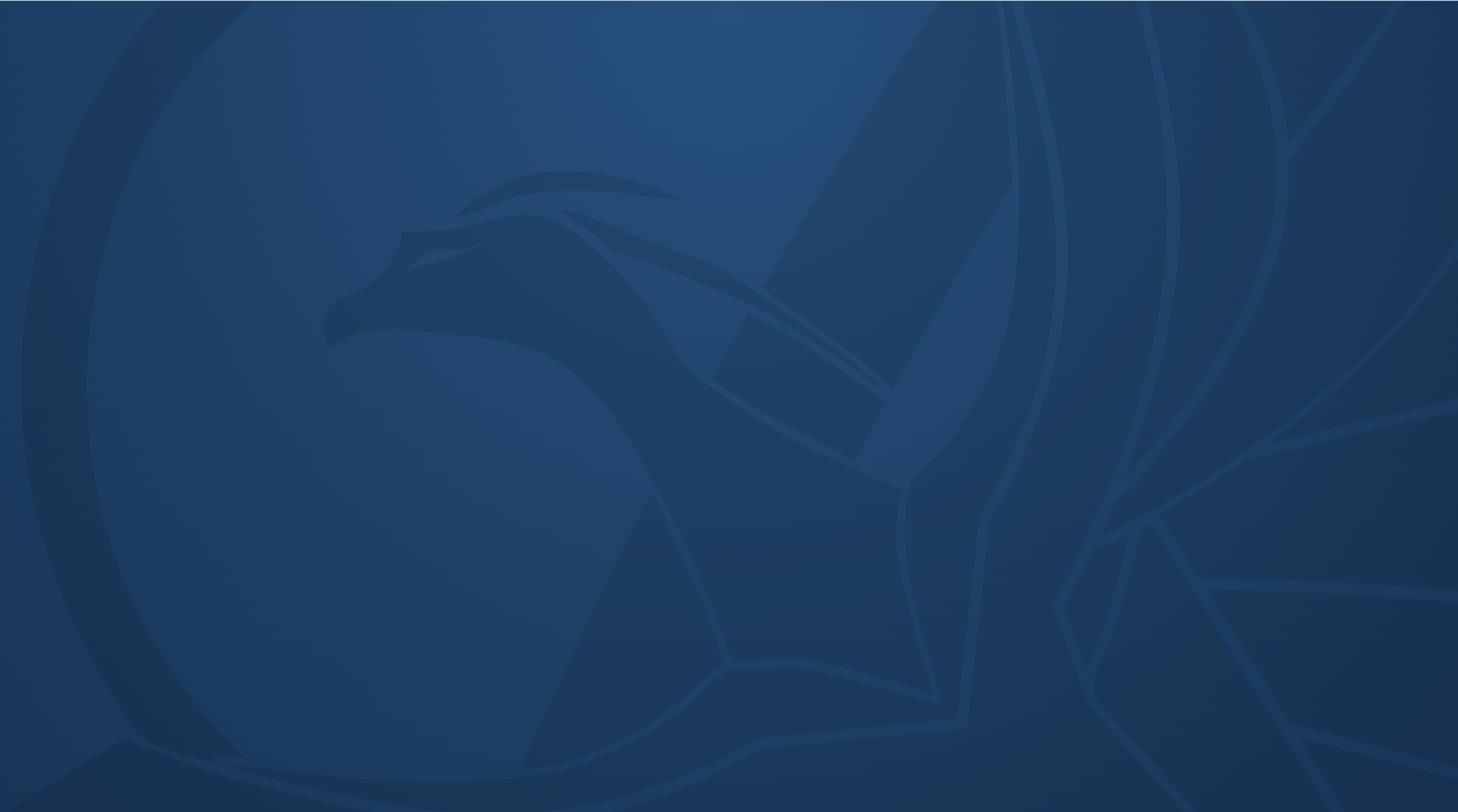 Hayal Kurmak Özgürleştirir